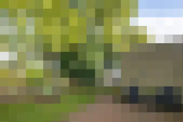 Heihorst 2 Tolbert thumbnail 34