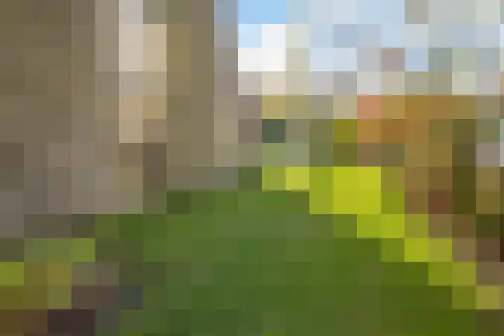 Heihorst 2 Tolbert thumbnail 36