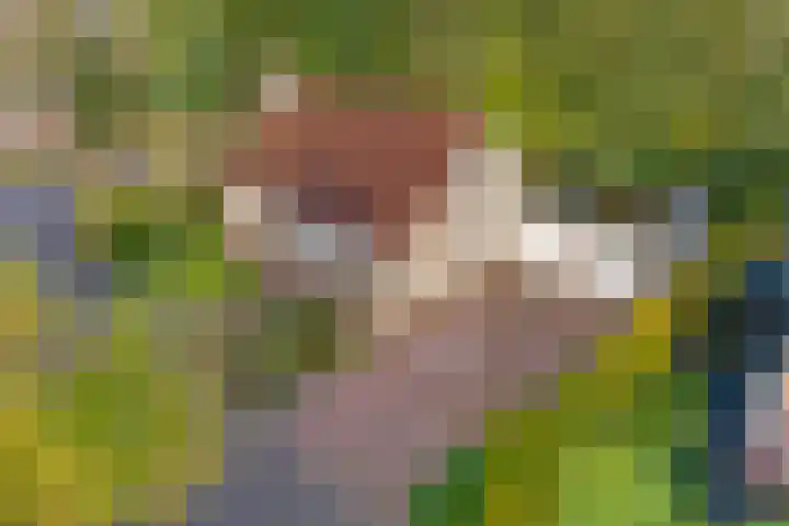 Heihorst 2 Tolbert thumbnail 38