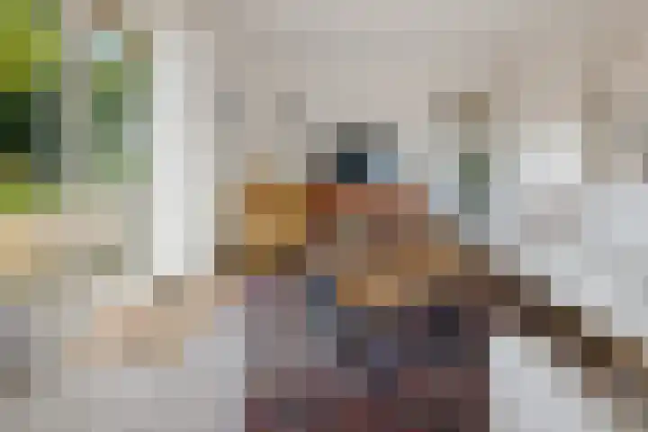 Heihorst 2 Tolbert thumbnail 8