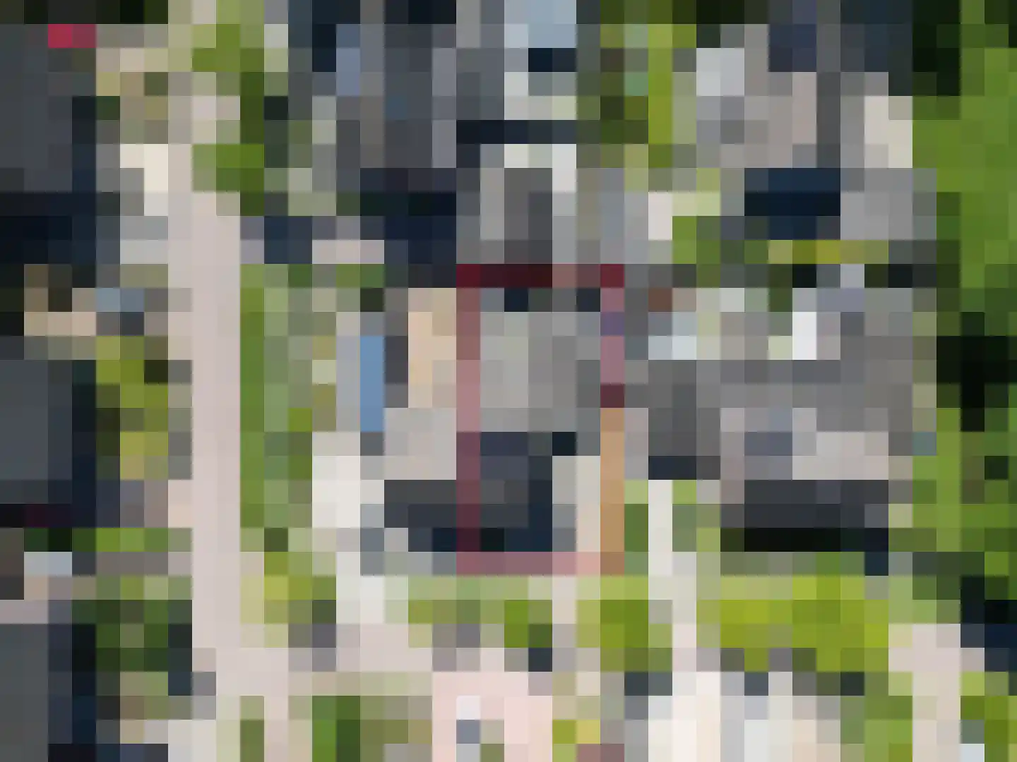 Heihorst 29 Tolbert thumbnail 29