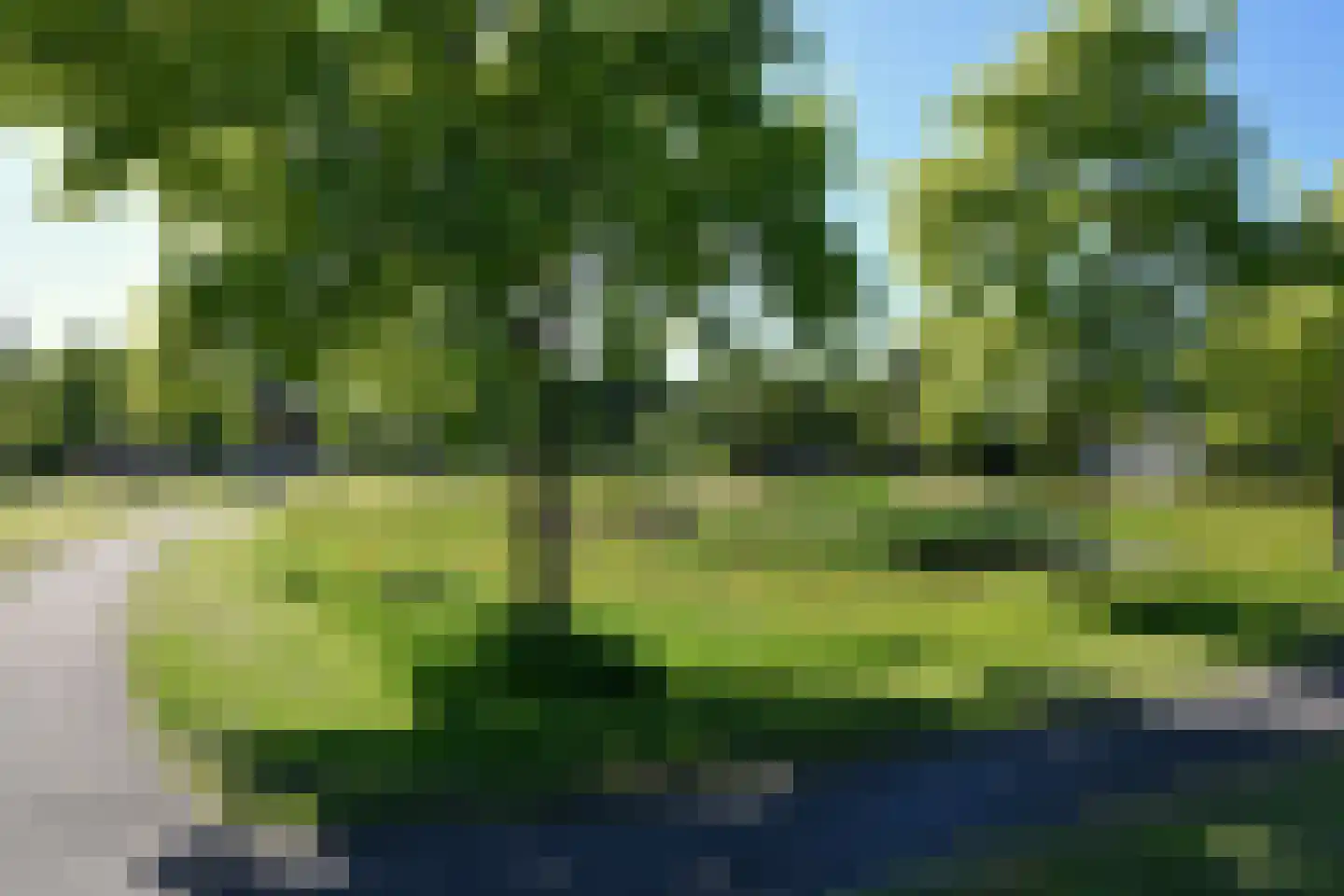 Heihorst 29 Tolbert thumbnail 37