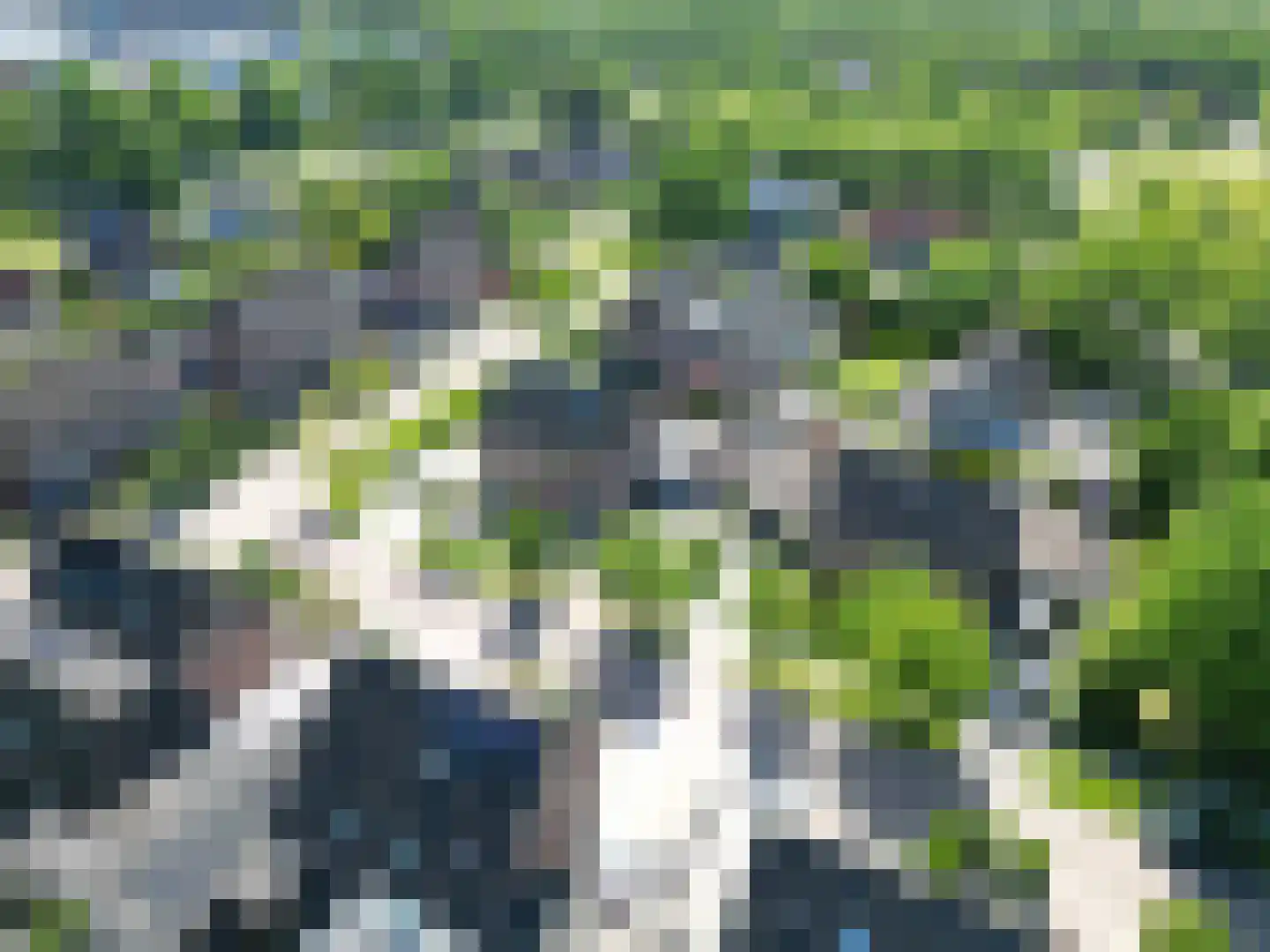 Heihorst 29 Tolbert thumbnail 4