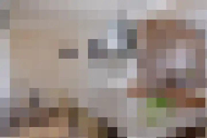 Heihorst 4 Meijel thumbnail 10