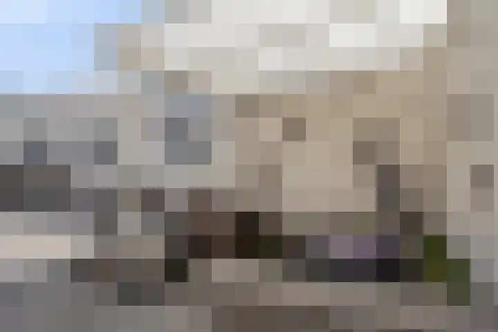 Heihorst 4 Meijel thumbnail 33