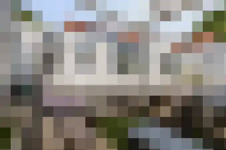Heihorst 4 Meijel thumbnail 35