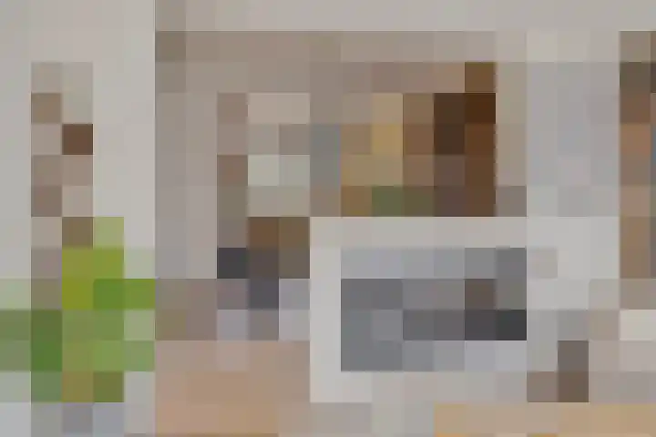 Heihorst 4 Meijel thumbnail 4