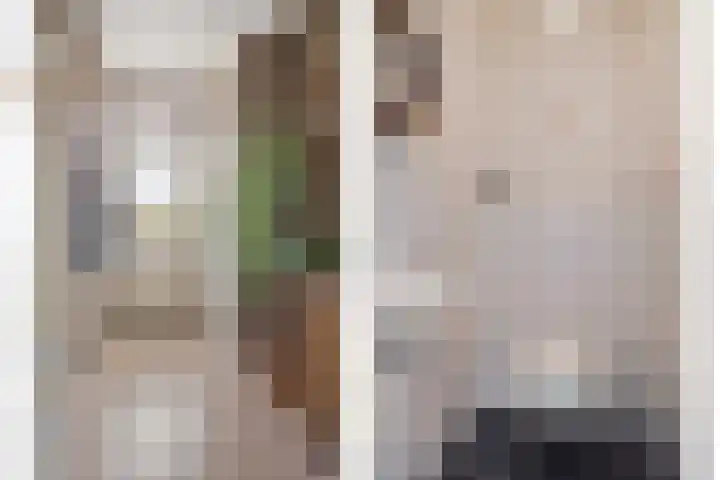 Heihorst 4 Meijel thumbnail 6