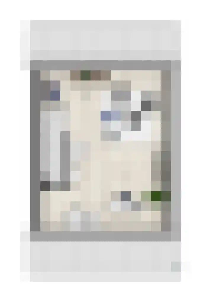 Heijackerstraat 17 Beesel thumbnail 5