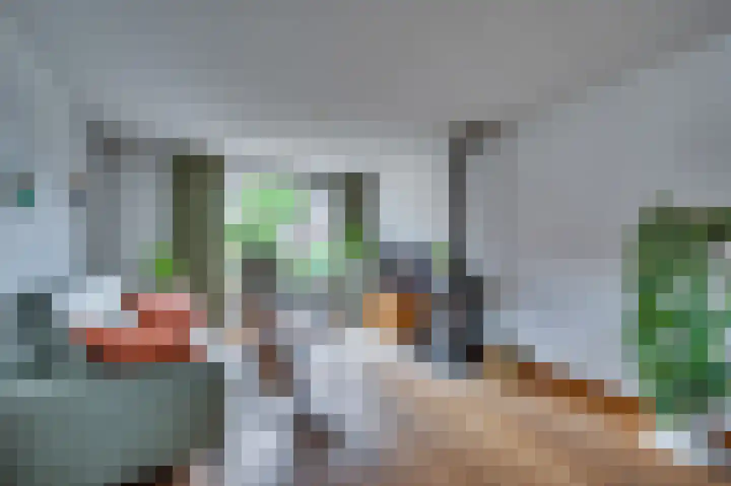 Heijackerstraat 22 Beesel thumbnail 11