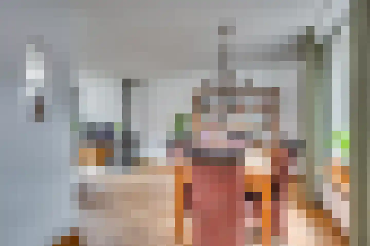 Heijackerstraat 22 Beesel thumbnail 18
