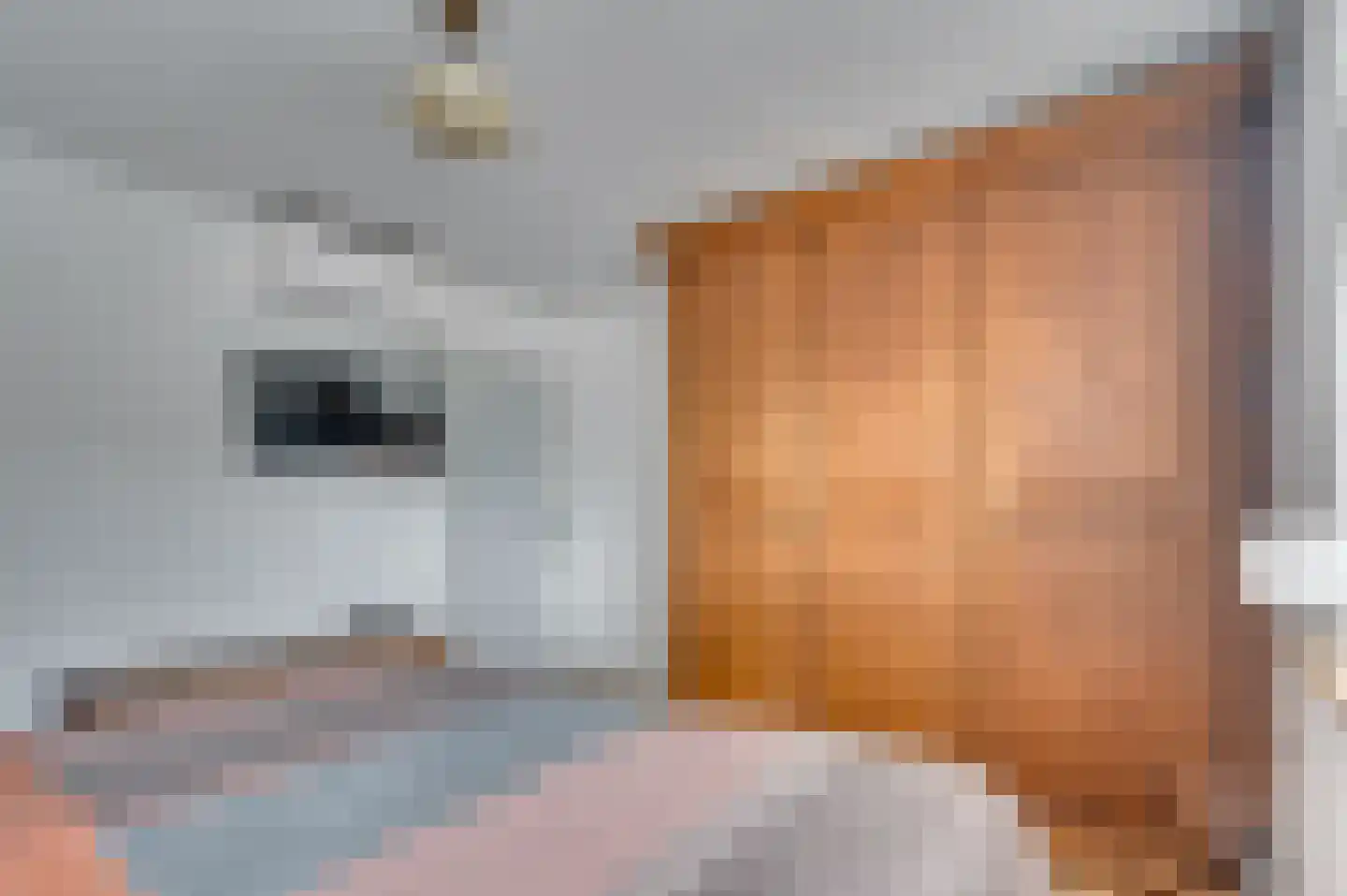 Heijackerstraat 22 Beesel thumbnail 26