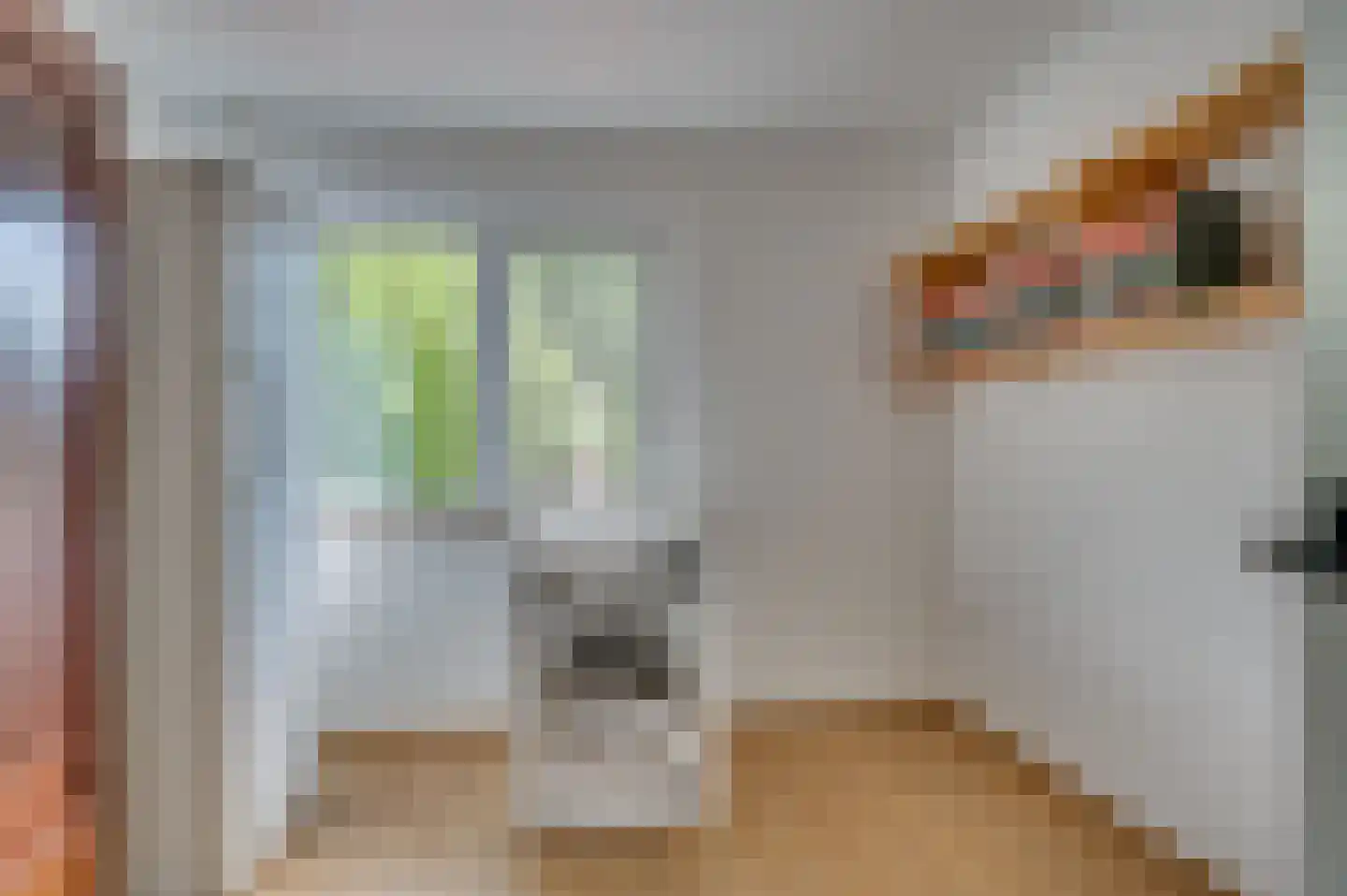 Heijackerstraat 22 Beesel thumbnail 33