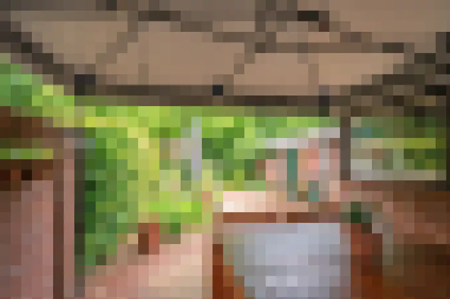 Heijackerstraat 22 Beesel thumbnail 36