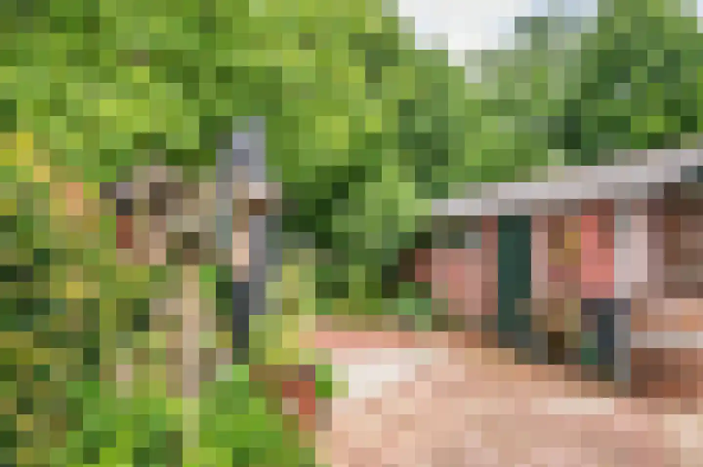 Heijackerstraat 22 Beesel thumbnail 37