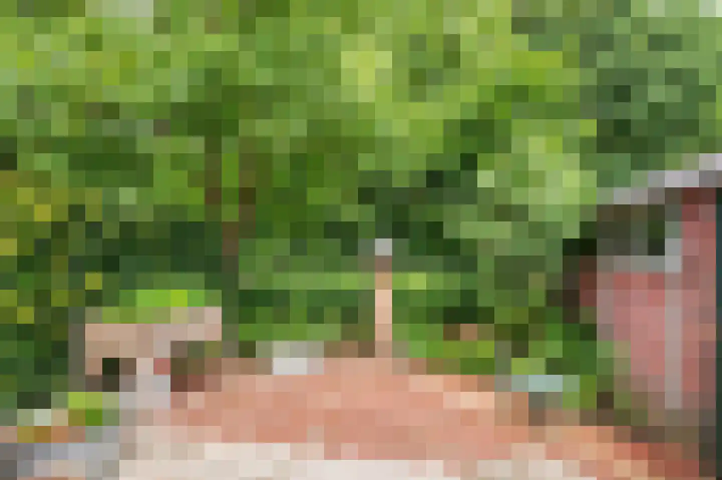 Heijackerstraat 22 Beesel thumbnail 39