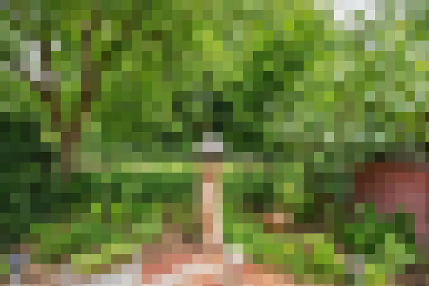 Heijackerstraat 22 Beesel thumbnail 40