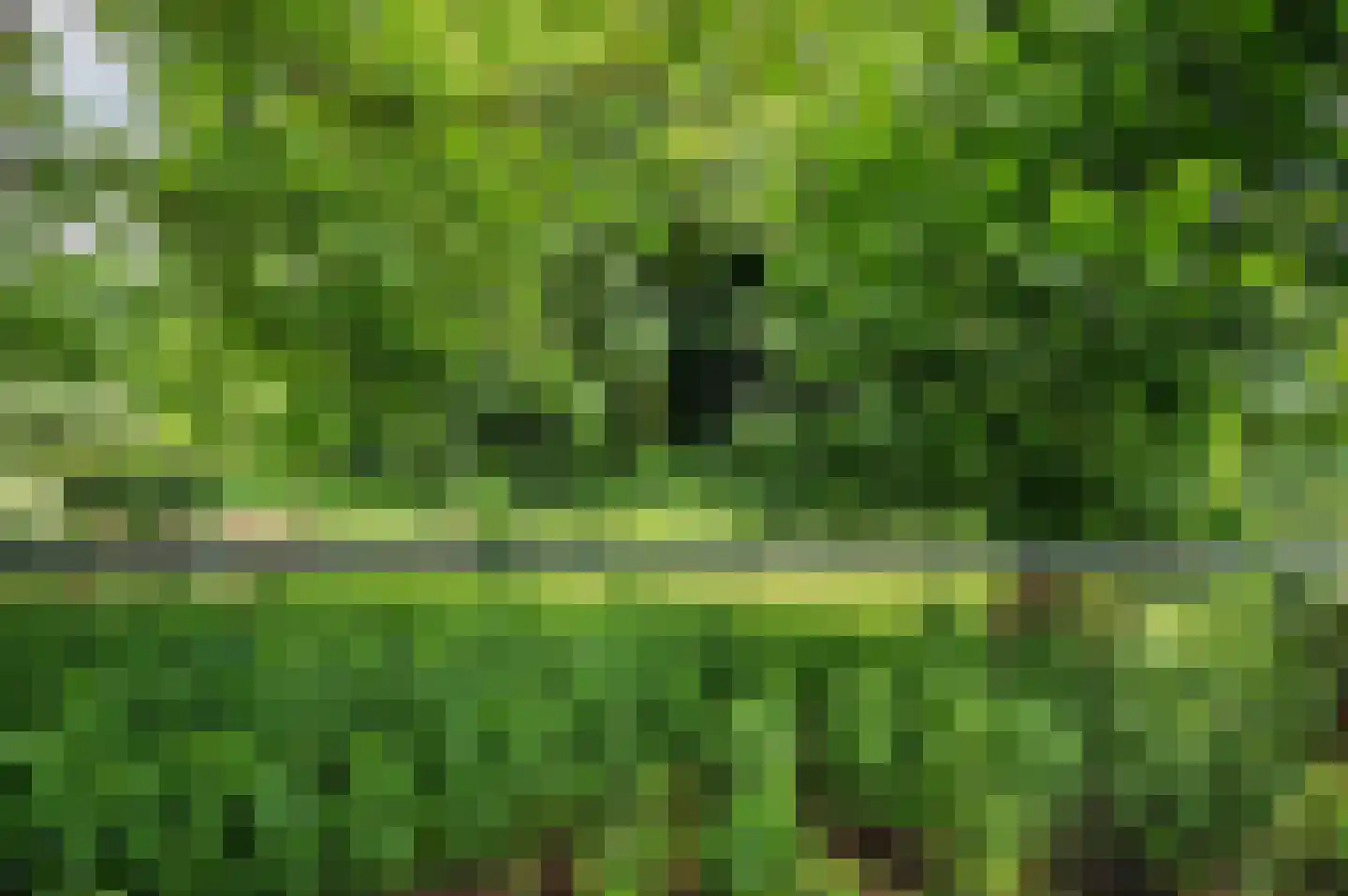 Heijackerstraat 22 Beesel thumbnail 42