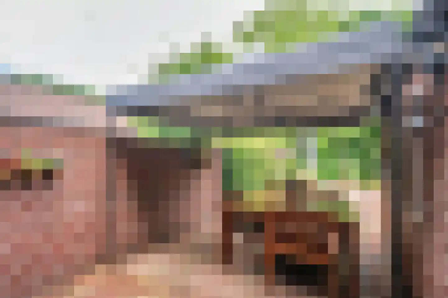 Heijackerstraat 22 Beesel thumbnail 47