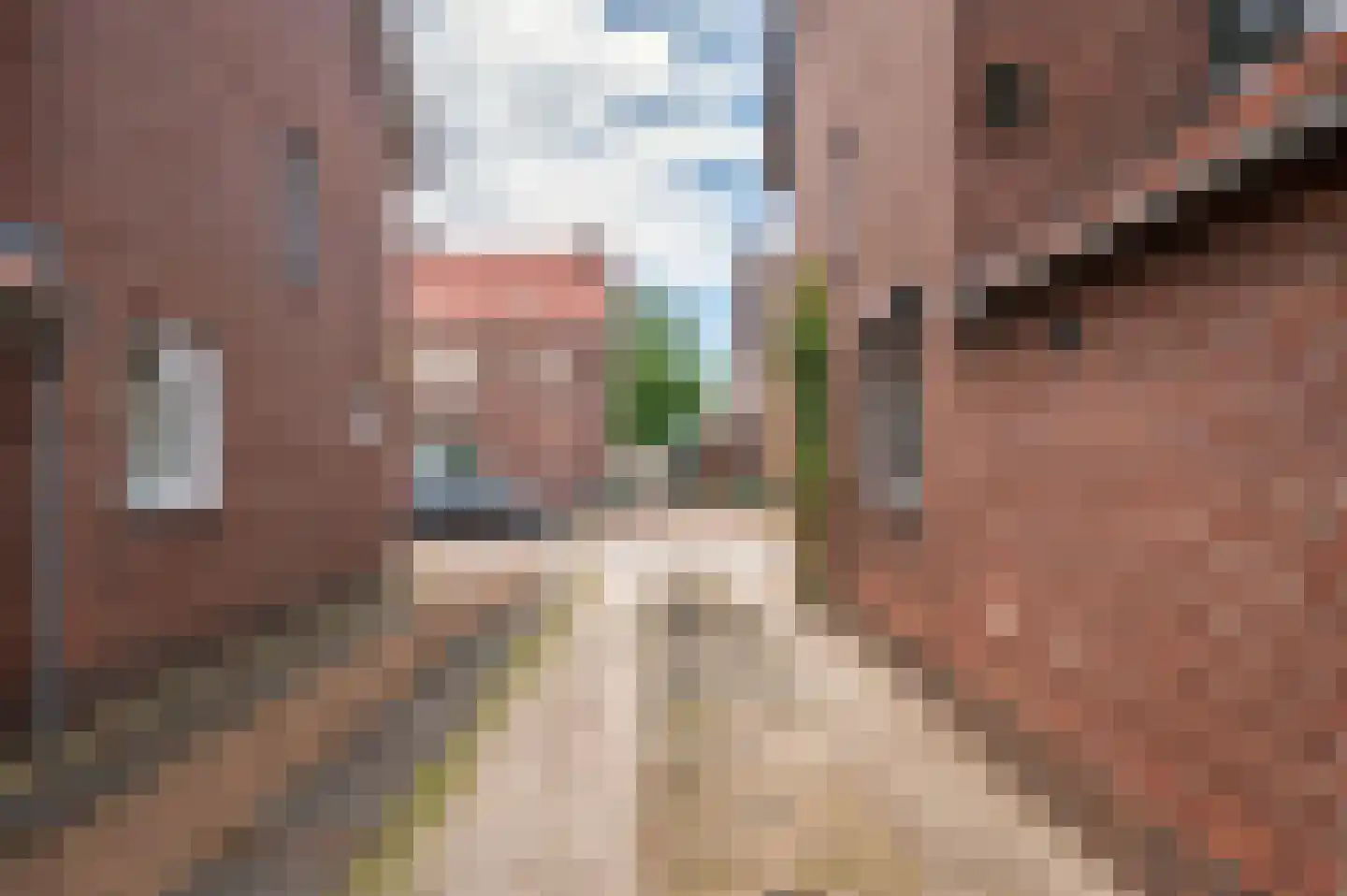 Heijackerstraat 22 Beesel thumbnail 51