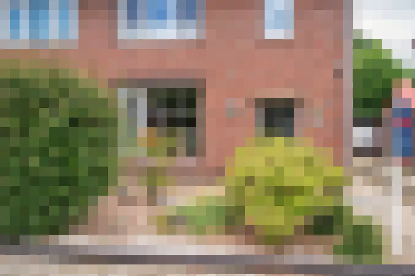Heijackerstraat 22 Beesel thumbnail 52