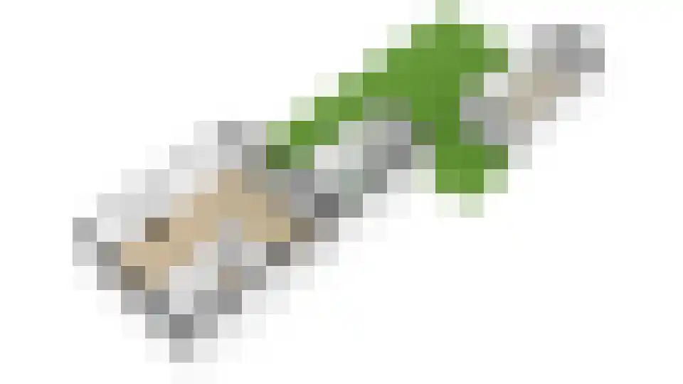 Heijackerstraat 22 Beesel thumbnail 67