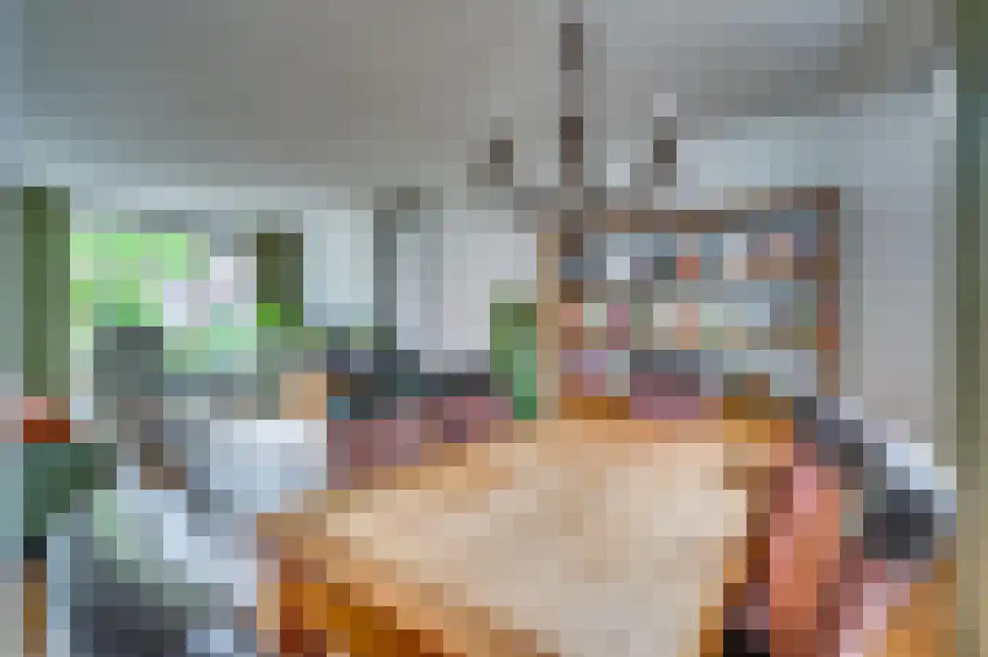 Heijackerstraat 22 Beesel thumbnail 9