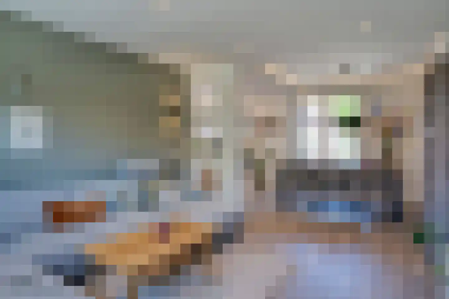 Heijackerstraat 8 Beesel thumbnail 10