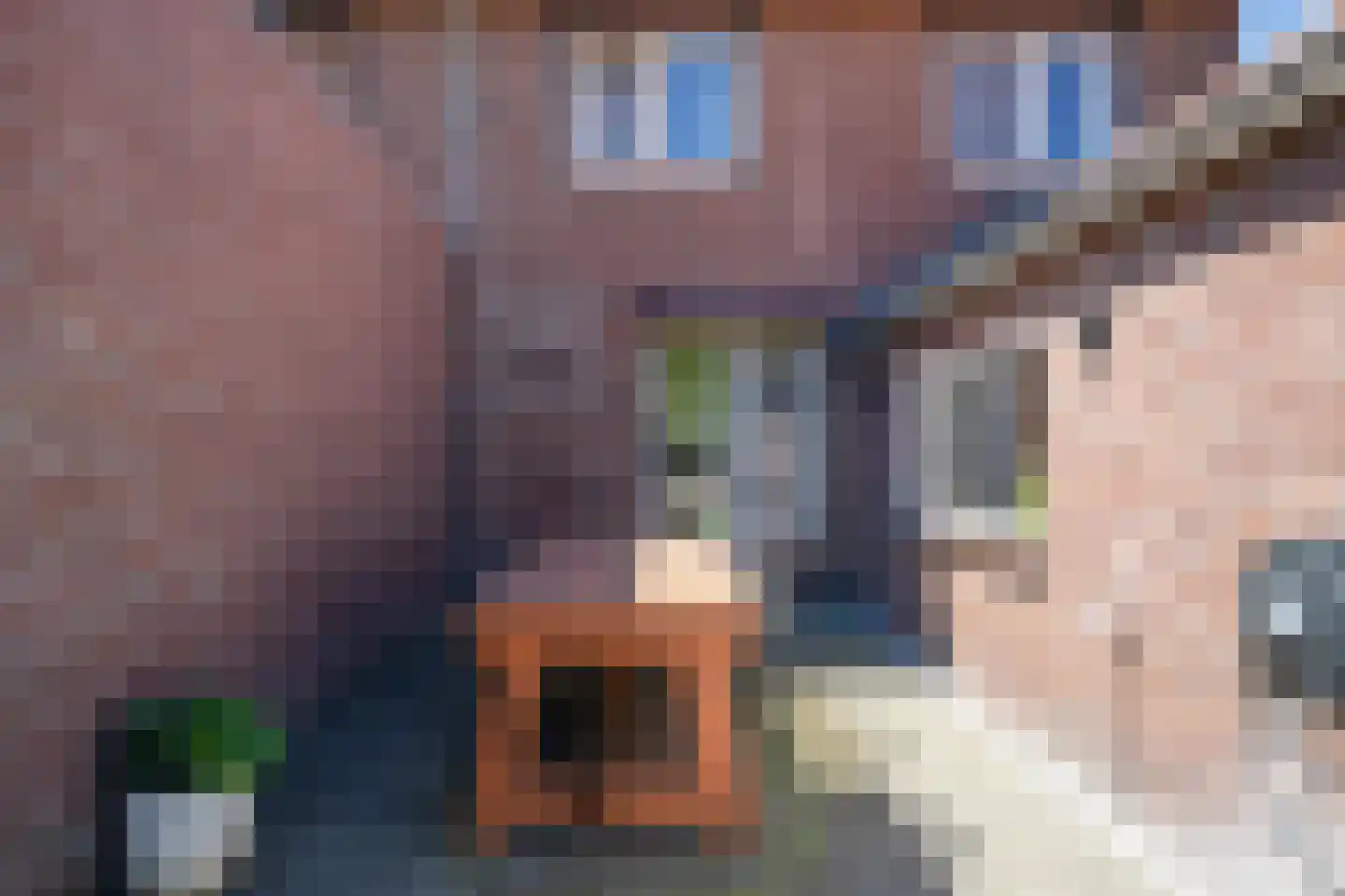 Heijackerstraat 8 Beesel thumbnail 21