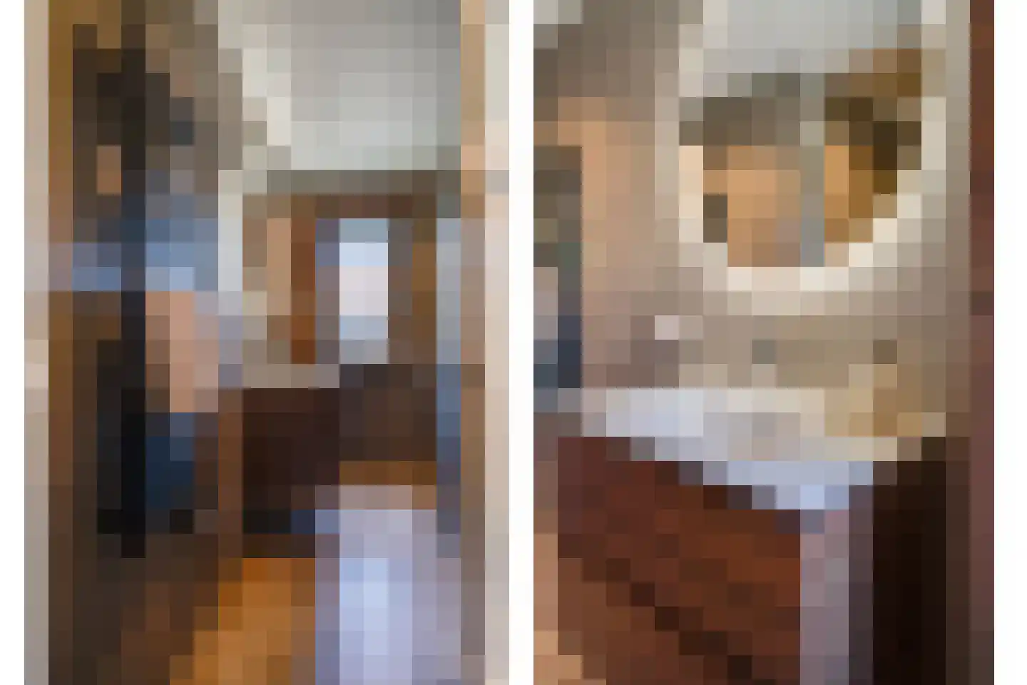 Heijackerstraat 8 Beesel thumbnail 34