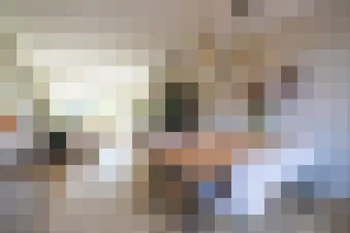 Heijbergstraat 7 Rotterdam thumbnail 7