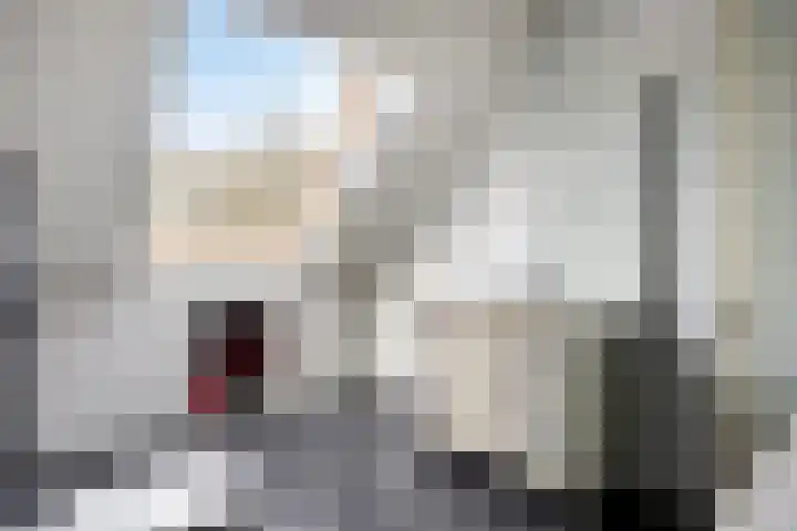 Heijbocht 6 Hulsel thumbnail 17