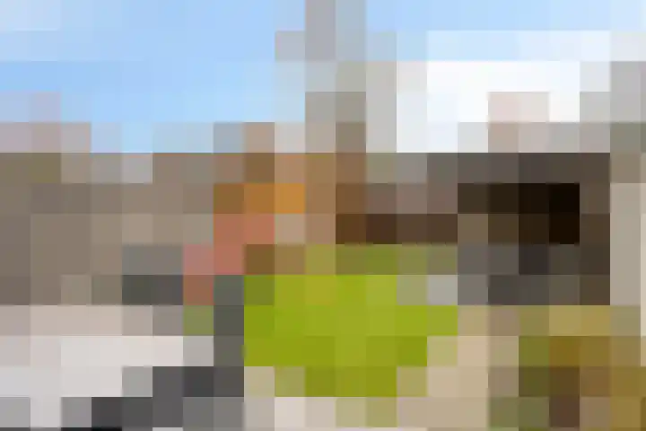 Heijbocht 6 Hulsel thumbnail 23