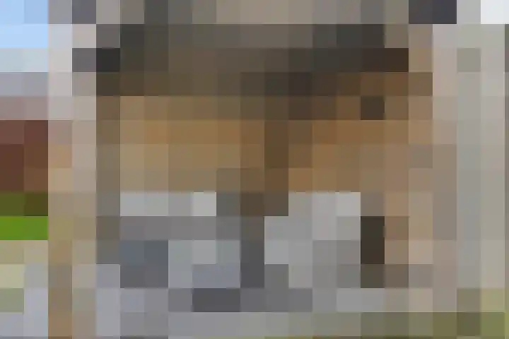 Heijbocht 6 Hulsel thumbnail 25