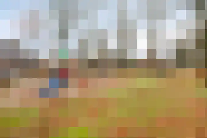Heijbocht 6 Hulsel thumbnail 28