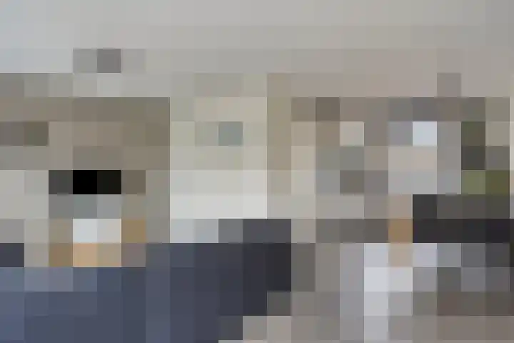 Heijbocht 6 Hulsel thumbnail 8