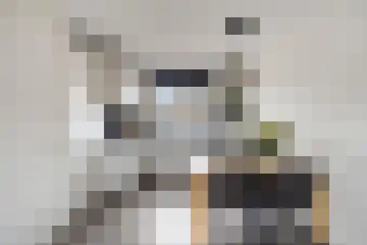 Heijbocht 6 Hulsel thumbnail 9