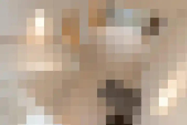 Heijbunder 7 Waalre thumbnail 14