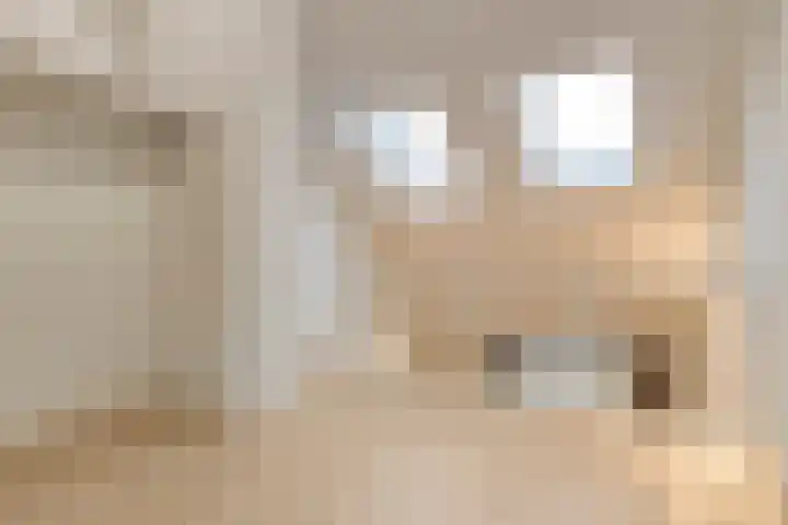 Heijbunder 7 Waalre thumbnail 16