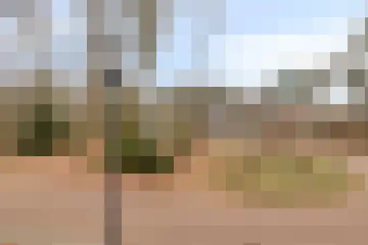 Heijbunder 7 Waalre thumbnail 19