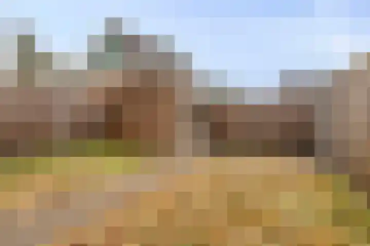 Heijbunder 7 Waalre thumbnail 20