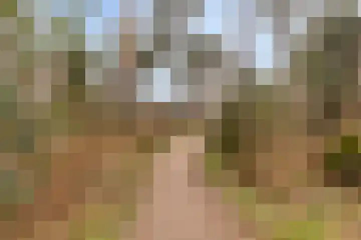 Heijbunder 7 Waalre thumbnail 24