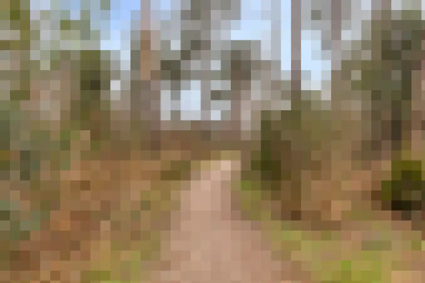 Heijbunder 7 Waalre thumbnail 24