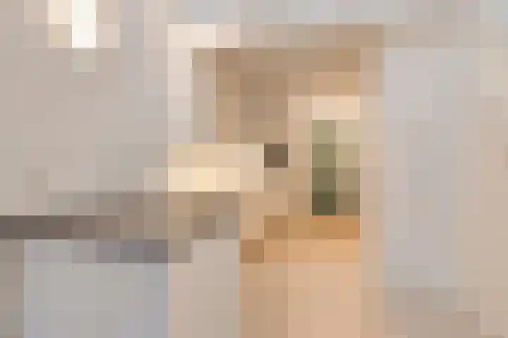 Heijbunder 7 Waalre thumbnail 6