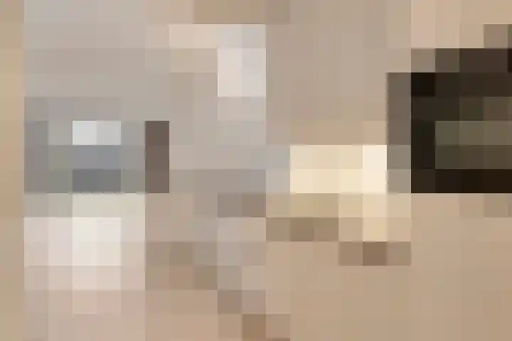 Heijbunder 7 Waalre thumbnail 7