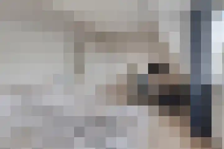 Heijcamp 15 Nuland thumbnail 16