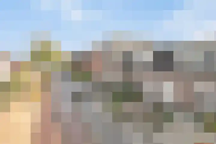 Heijcamp 15 Nuland thumbnail 21