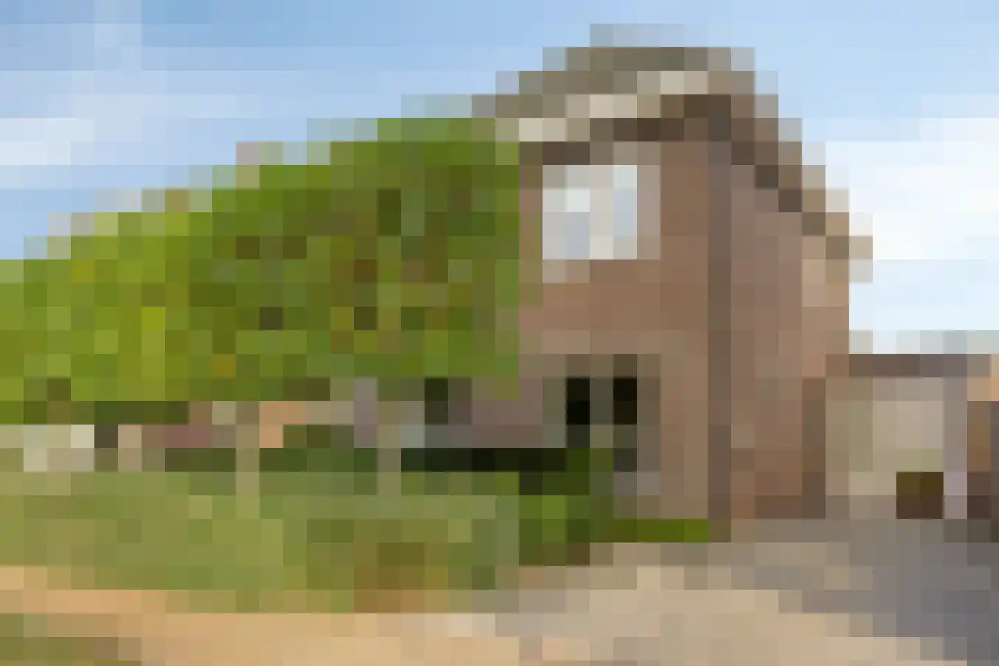 Heijcamp 2 Nuland