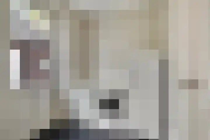 Heijcamp 42 Nuland thumbnail 18