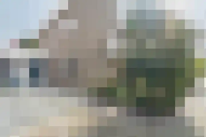 Heijcamp 42 Nuland thumbnail 19